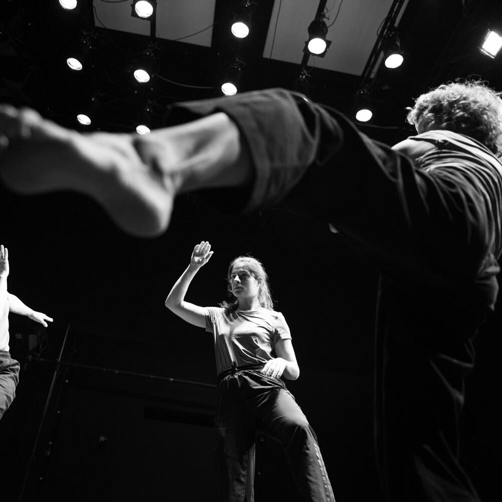 PERFORACIJE: Koraljka Begovic, Jasna Žmak - Playing reality. Be SpectACTive!