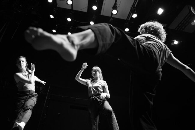 PERFORACIJE: Koraljka Begovic, Jasna Žmak - Playing reality. Be SpectACTive!