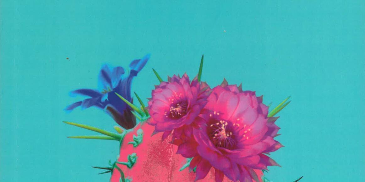 Udruga Domino, izdavaštvo - Camila Sosa Villada: Loše djevojke/Las malas, 2020.