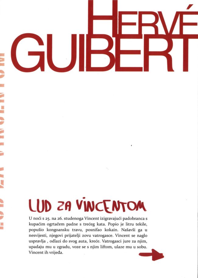 Udruga Domino, izdavaštvo - Hervé Guibert: Lud za Vincentom, 2011.