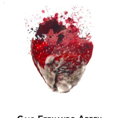 Udruga Domino, izdavaštvo - Caio Fernando Abreu: Pljesnjive jagode, 2015.