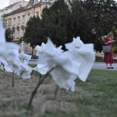 Azra Svedružić & Demirel Pašalić (HR): Slušaj Šume! / Festival Perforacije 2019, photo: Silvija Dogan / This is a Domino project!