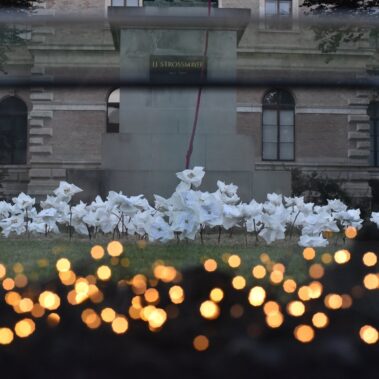 Azra Svedružić & Demirel Pašalić (HR): Slušaj Šume! / Festival Perforacije 2019, photo: Silvija Dogan / This is a Domino project!