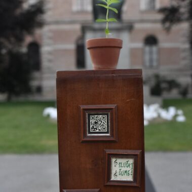 Azra Svedružić & Demirel Pašalić (HR): Slušaj Šume! / Festival Perforacije 2019, photo: Silvija Dogan / This is a Domino project!