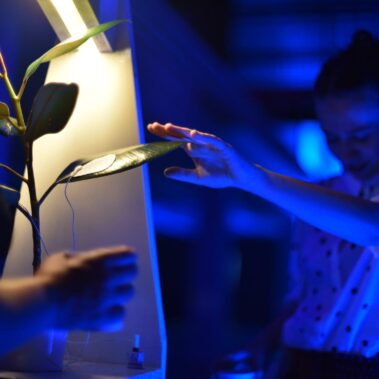 Vitar Drinković – Biljno sljepilo (interaktivna instalacija) / Noć performansa, 2019. / Photo: Silvija Dogan