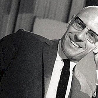 Michel Foucault - Povijest seksualnosti IV, Priznanja puti