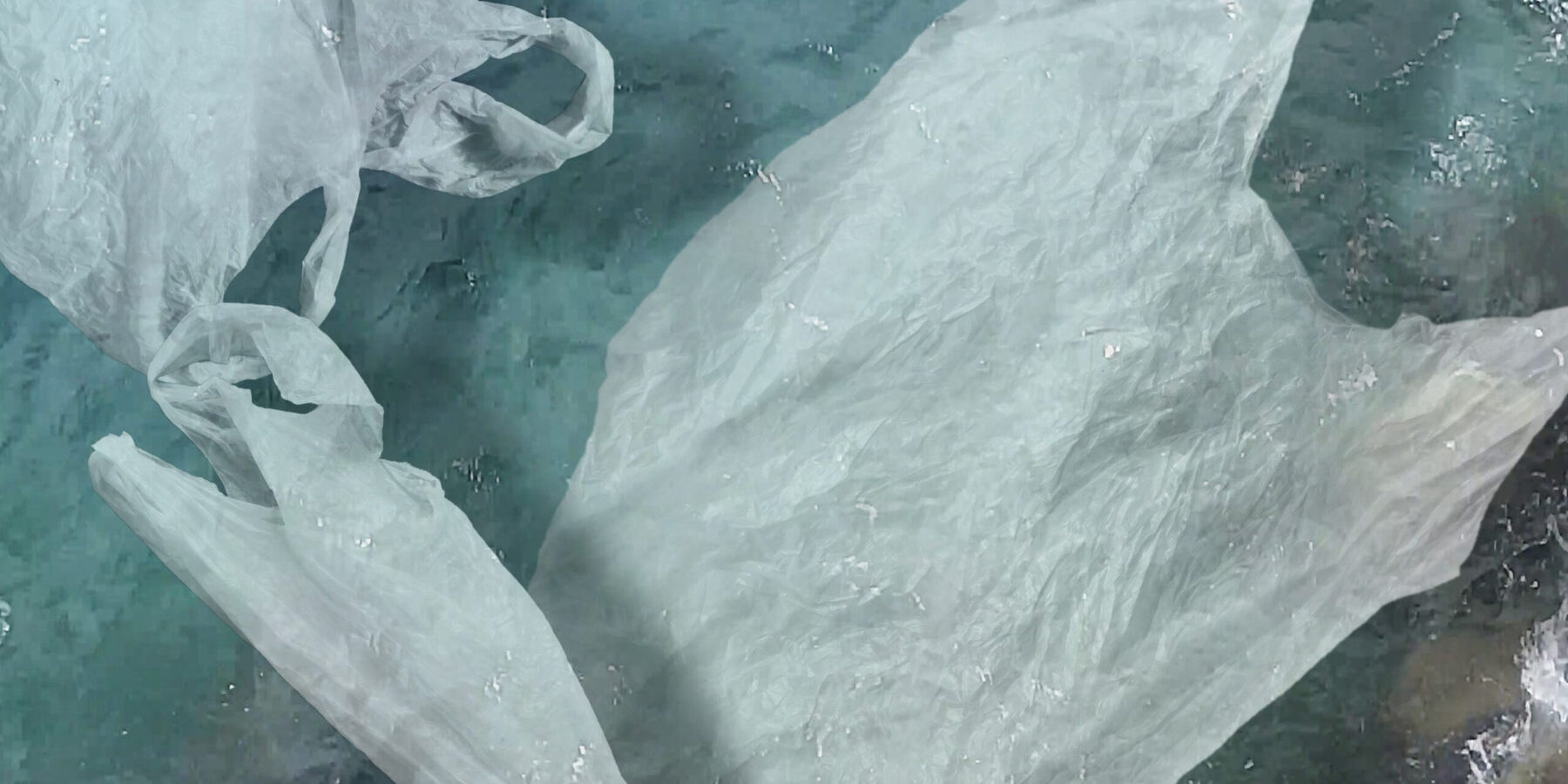 Josipa Bubaš – Ljepota