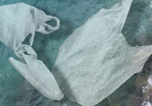 Josipa Bubaš – Ljepota Josipa Bubaš – Ljepota