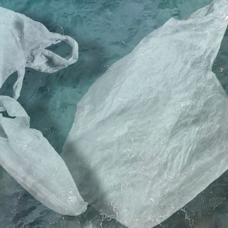 Josipa Bubaš – Ljepota