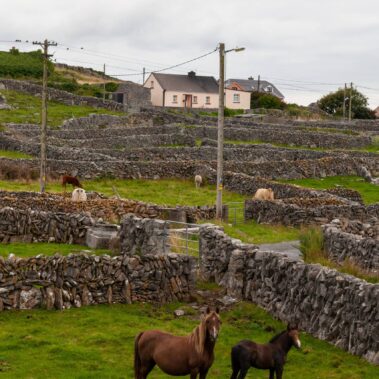 Island connect, 2021. – Irska / Fotografija: Dea Botica