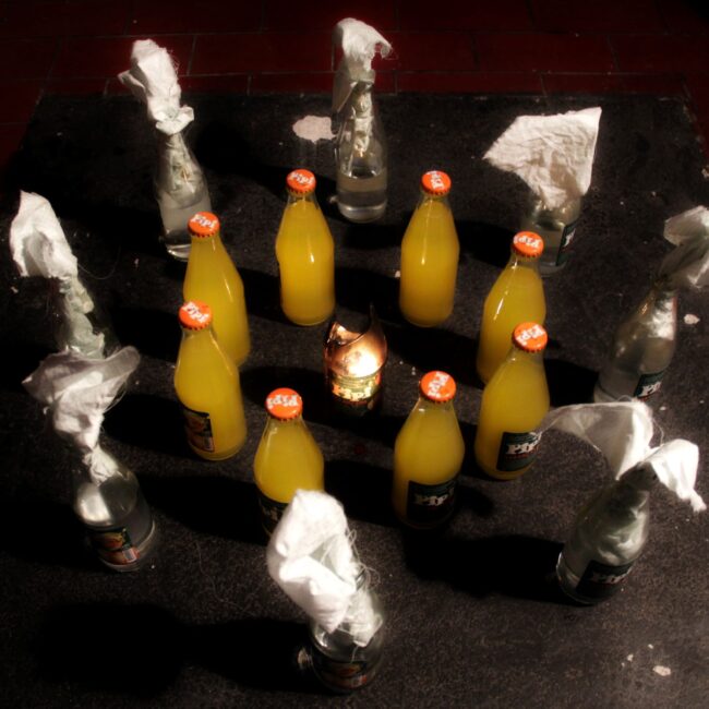 Gildo Bavčević: Dalmacijavino Resistance (2012.) / Foto: iz arhive umjetnika