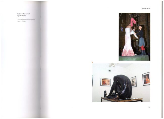 Krešo Kovačiček i Tajči Čekada: Selotejp, 20. slavonski biennale (kustos: Branko Franceschi), Osijek 2006. (fotografije iz kataloga)