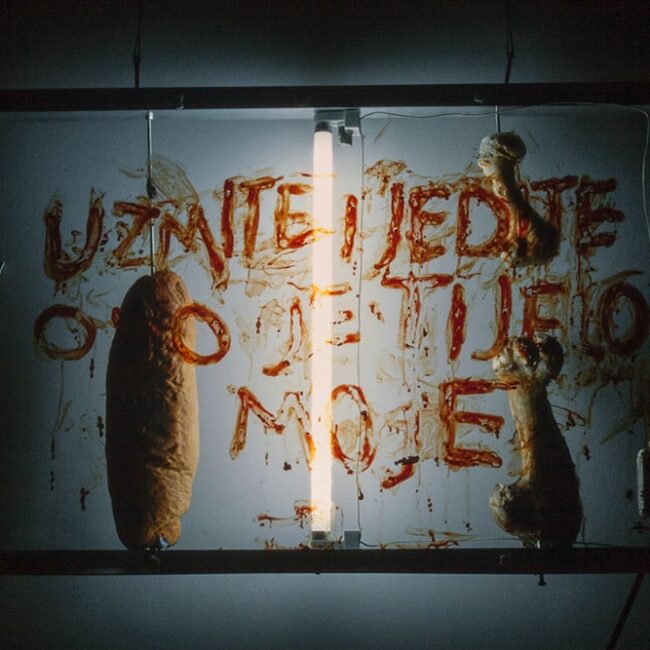 Sven Stilinović, Geometrija krvožednosti, 1998. drvo, aluminij, staklo, organski materijal, električna instalacija Galerija Proširenih medija, 1998. / Foto: ISU