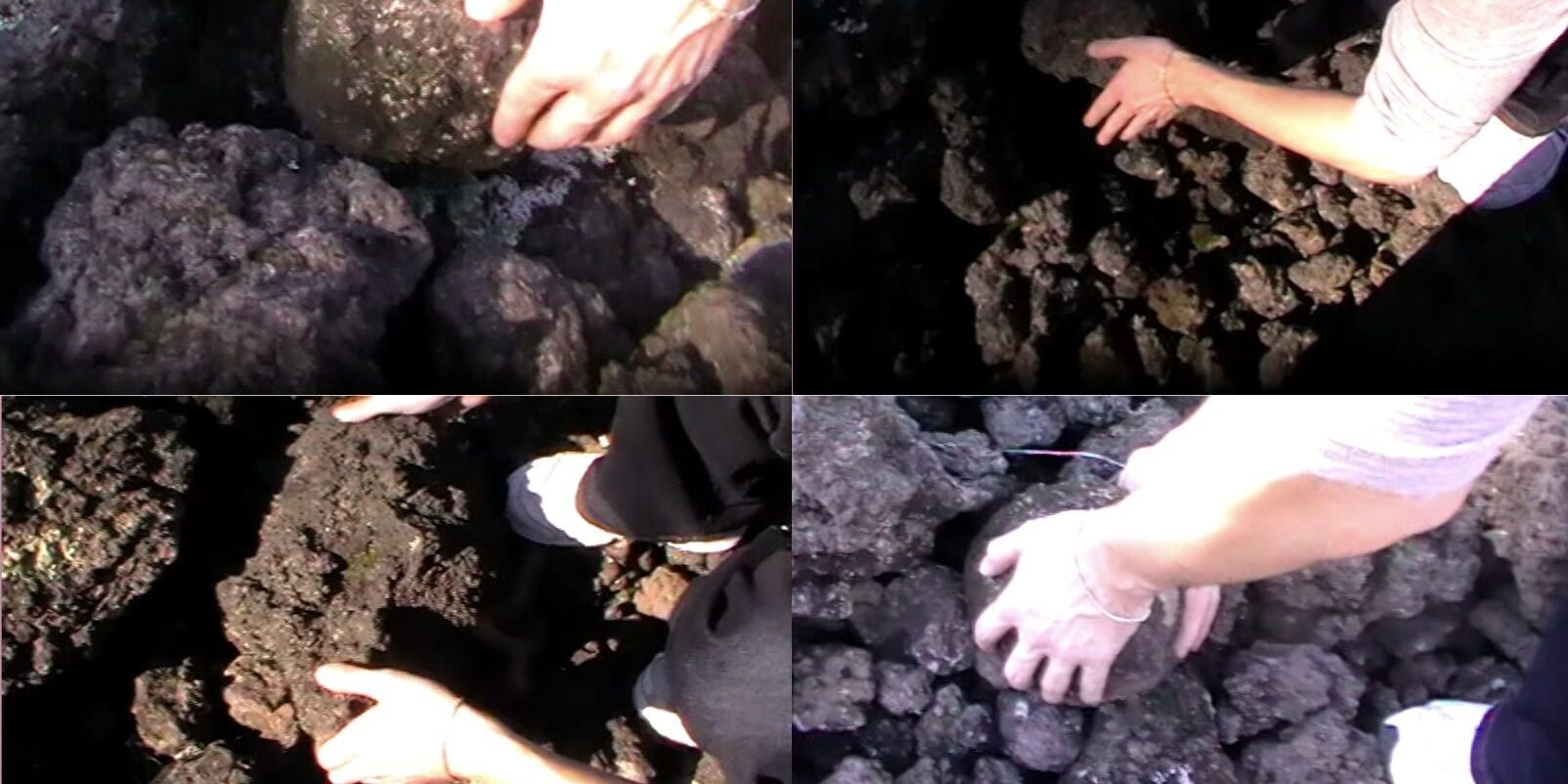 Untitled design – 1